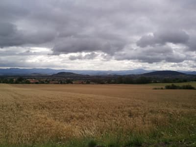 Where I might have been