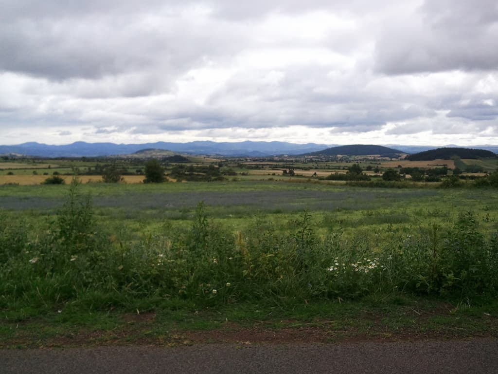 <p>I'd seen these blue flowers and wondered what they were, back in England I found references to them and they are, apparently, lentils. &nbsp;Of course, I'm very near to Le Puy, famous for, amongst other things, lentils. &nbsp;The beast is dead, the point is taken, the ambiguity is in the box.</p>