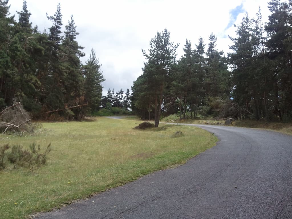 <p>The climb up from the Allier was very pleasant, though the descent down the other side to the Reservoir de Naussac was even more so.</p>