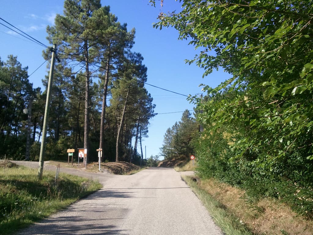 <p>Weather better and the road here is very pleasant, some up and down but through pine woods so perfumed and shady.</p>