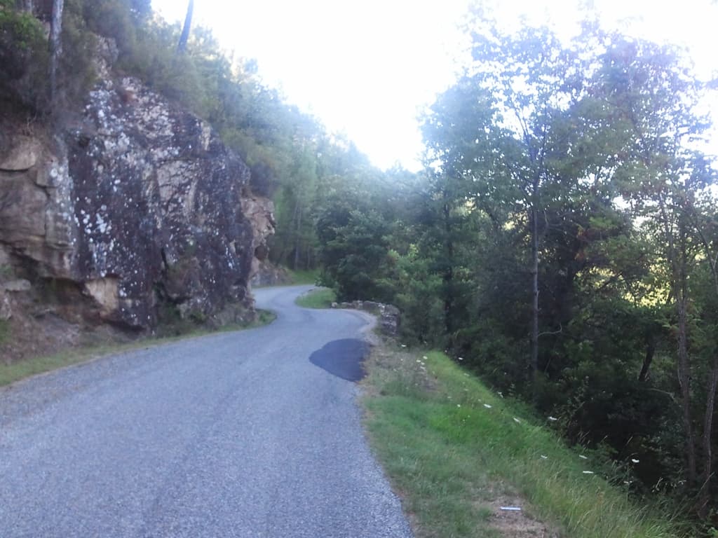 <p>Wonderful downhills after the climb out of Les Vans. &nbsp;Through woods, twisty, shady, dappled, horses, streams, rocks with water cascading over, and are they sheep or were they goats, flashing by.</p><p>If you rollover this image you'll see a glimpse of the river to my right.</p>
