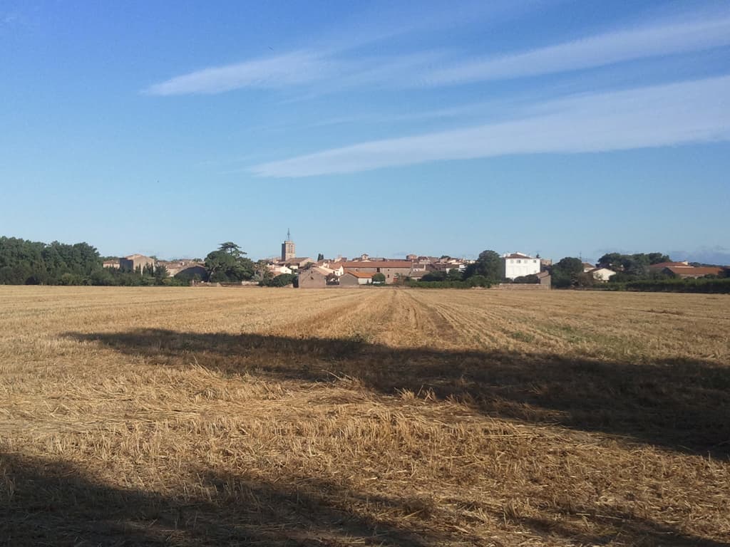 <p>The wonderful thing about early starts is the light. &nbsp;Being low it throws everything into relief and with the weather suddenly much better it was doubly pleasant.</p><p>The weather had been better since about St Hippolyte. &nbsp;Not that it had been all bad but it was, apparently, the worse July since records began. &nbsp;I'd only been seriously rained on twice but normally, starting in the north of France, I get slowly accustomed to the heat as I make my way south. &nbsp;This time it had been like being in England, cool and raining, right until St Hippolyte then bang, hot.</p><p>Not that I'm complaining. &nbsp;Especially not today, it's warm, I'm within a few kilometres from the Med, though I won't actually see it today, I'm going to meet up with friends and it's flat going.</p><p>&nbsp;</p>