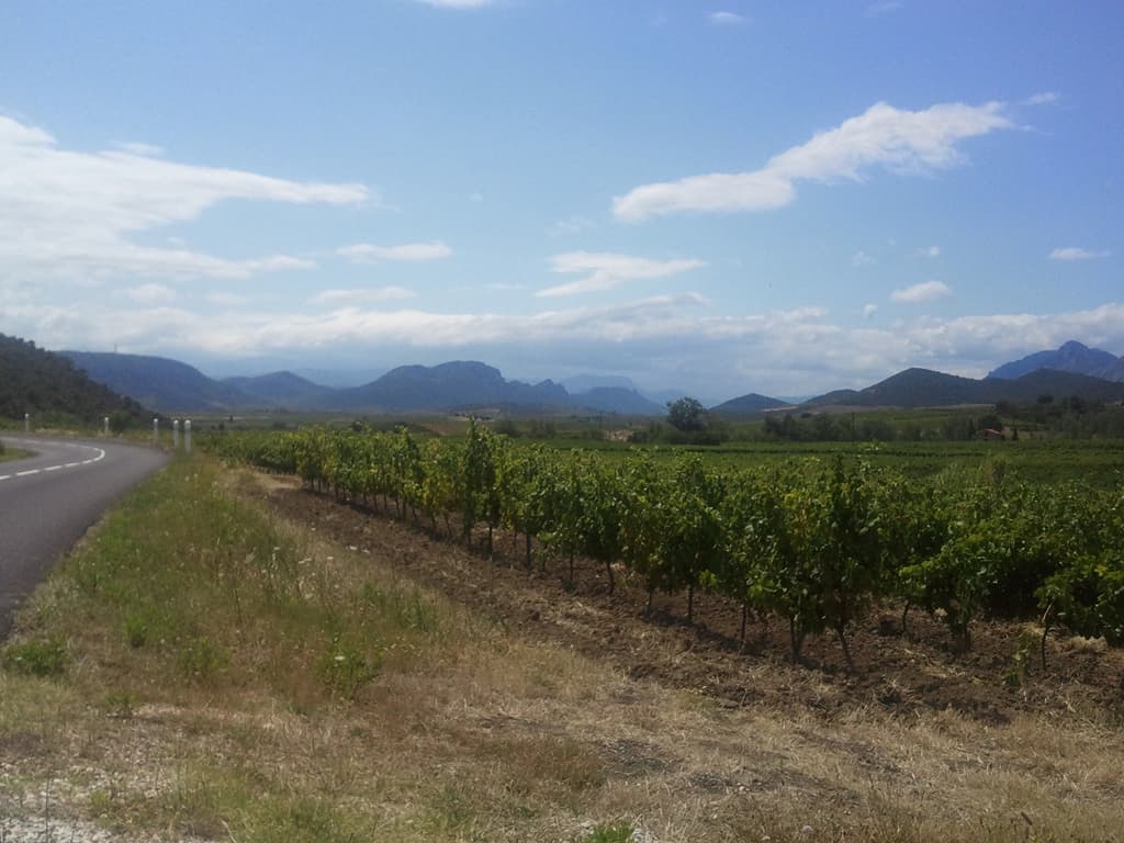 <p>I think this is looking east, just before Estagel. &nbsp;It's a really pretty area, I must come back to explore.</p><p>Unfortunately, once I got to Estagel, I found there was no campsite after all and the closest was in Latour de France. &nbsp;I had had a vague plan to continue south from Estagel to Corneilla-la-Rivi&egrave;re and then Thuir and miss out Ille-sur-T&ecirc;t but I was told the road was poor and very hilly. &nbsp;So, I decided to go the way I'd done two years ago and besides, Latour de France wasn't too far away, 5km at most.</p>