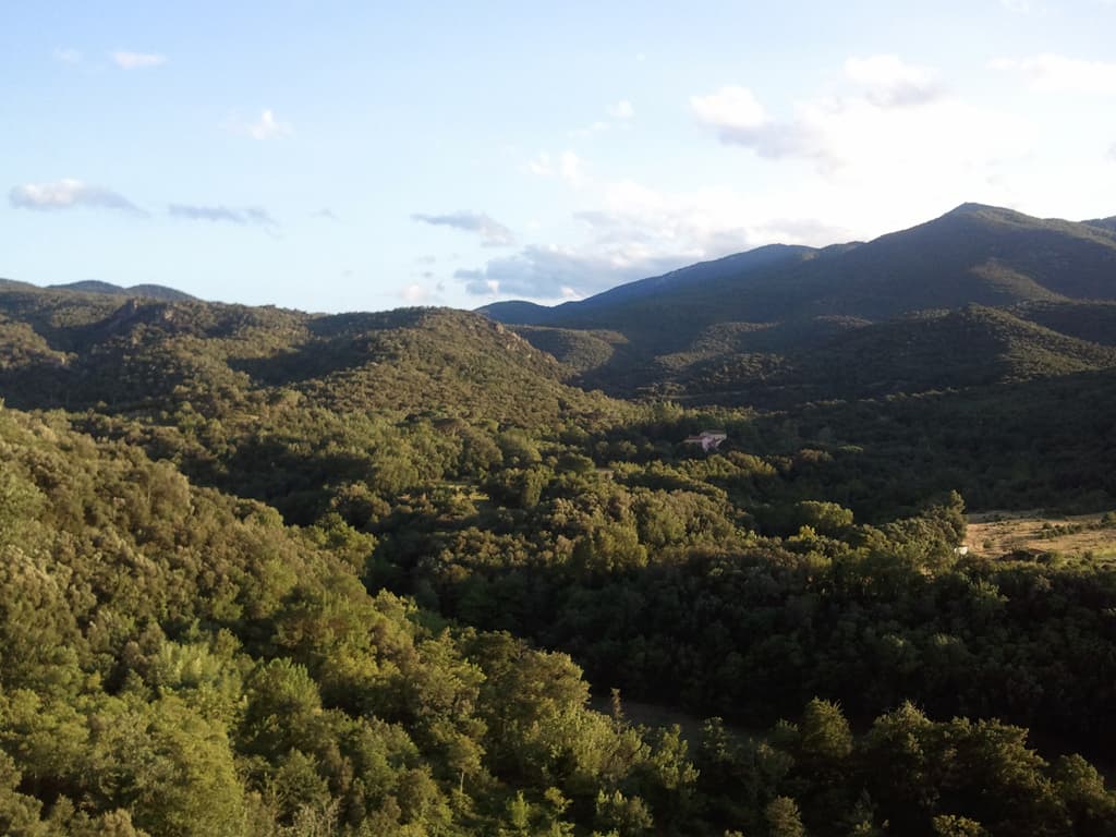 <p>Laurence&nbsp;took the time, when his shift was over, to show me a track up into the woods where there was this view point looking back down over the valley. &nbsp;Such a lovely area.</p>