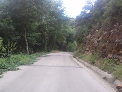 Quiet roads and a fixer-upper