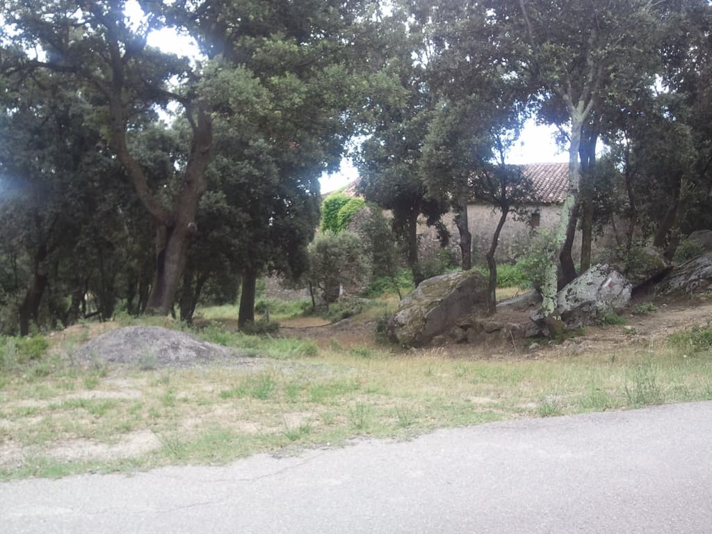 <p>This is the road, not exactly heavy traffic as you can see. &nbsp;If you click on this thumbnail you'll see a larger picture of a little house in the trees, a fixer-upper opportunity that looked very nice.</p>