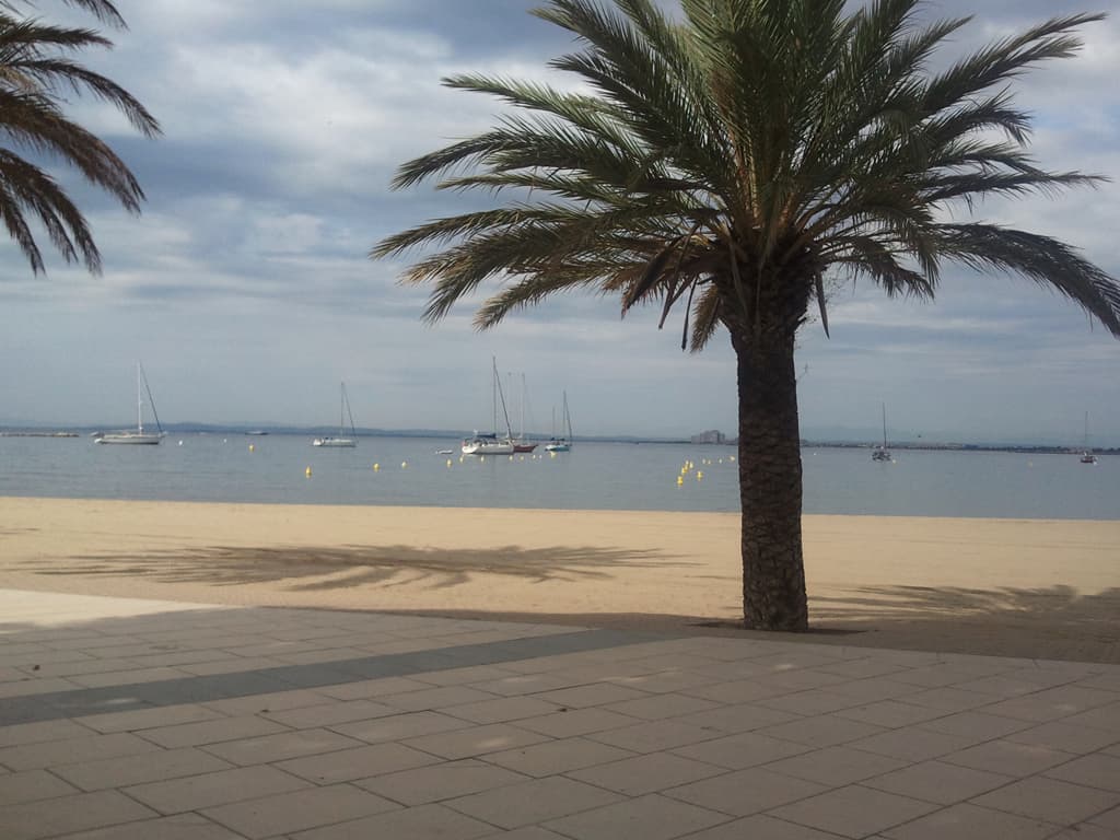 <p>This is the morning after the morning after, Saturday 30th July, I must have had a day without any photos at all.</p><p>One day I went to Figueras to try and buy a book since none of the shops called bookshops, librerias, actually sold books as their main product. &nbsp;Books were alway's a side line to lilos, newspapers, beach attire and the like. &nbsp;When I went to the tourist office to ask if there was a bookshop in town the guy was a little snotty. &nbsp;Not the first time this had happened in Roses in their tourist office. &nbsp;</p><p>"ah, you mean a specialist bookshop",<br />"yes", I replied, <br />"I need a bookshop that specialises in selling books".</p><p>So, I went to Figueras and managed to find a bookshop that sold books and bought my'self the book you see in the next photo. &nbsp;It helped. &nbsp;A day of listening to music with spanish lyrics and reading El Asedio made it a lot easier.</p><p>It might sound pretentious, and it shouldn't since I'm not that good at languages, but what I might be good at is actually changing the way I think. &nbsp;In France I think in french, albeit bad french, and in Spain I normally think in spanish. &nbsp;I was finally getting to do that.</p>