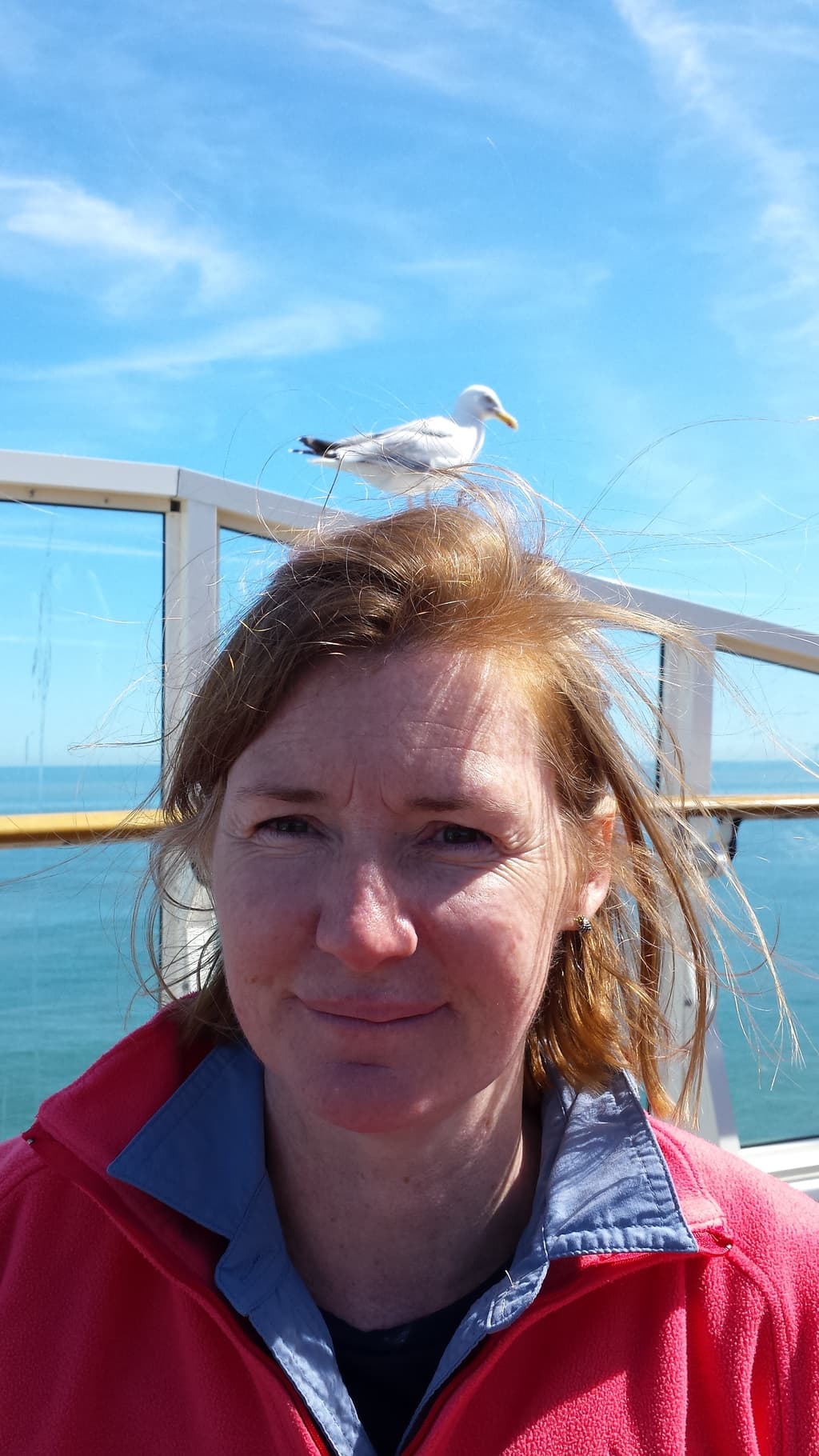 Hours of training pay off, the seagull balances on Pip's head.