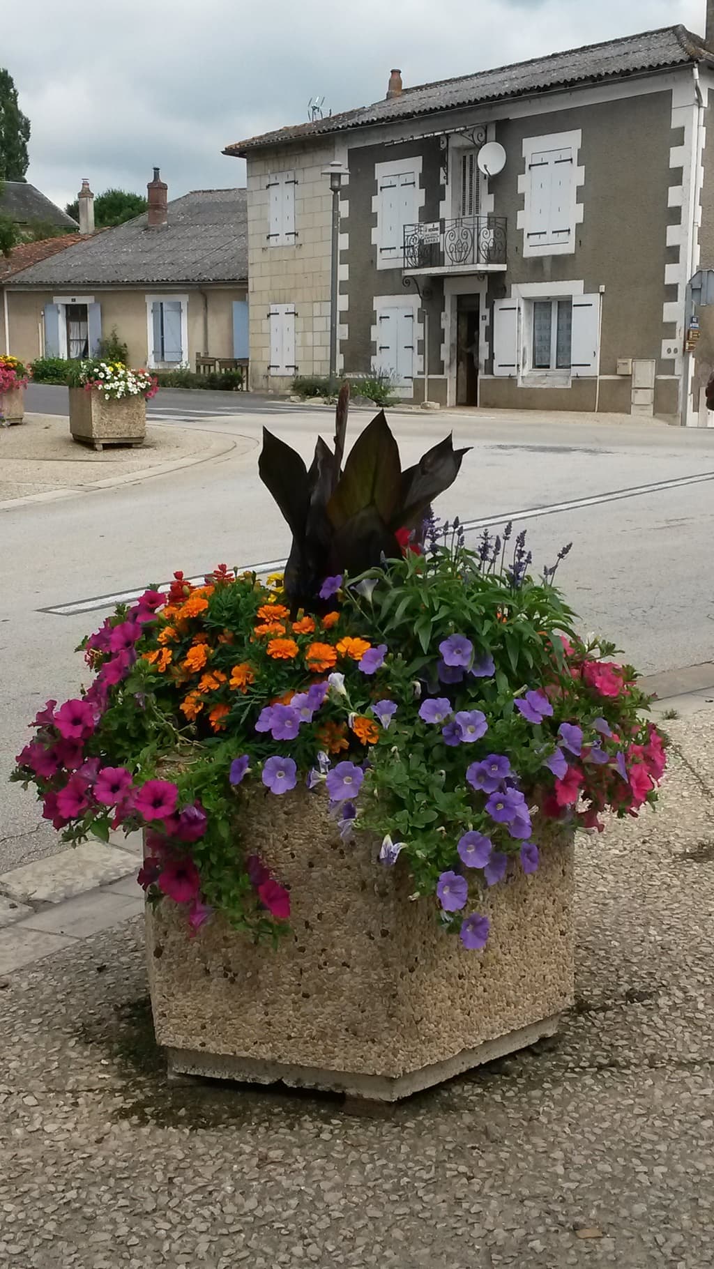 Municipal flower plantings, a constant theme, they're just wonderful.