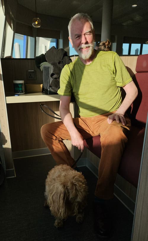 I'm a happy bee but dazzled by the sun, Sam's just wondering which paw to chew