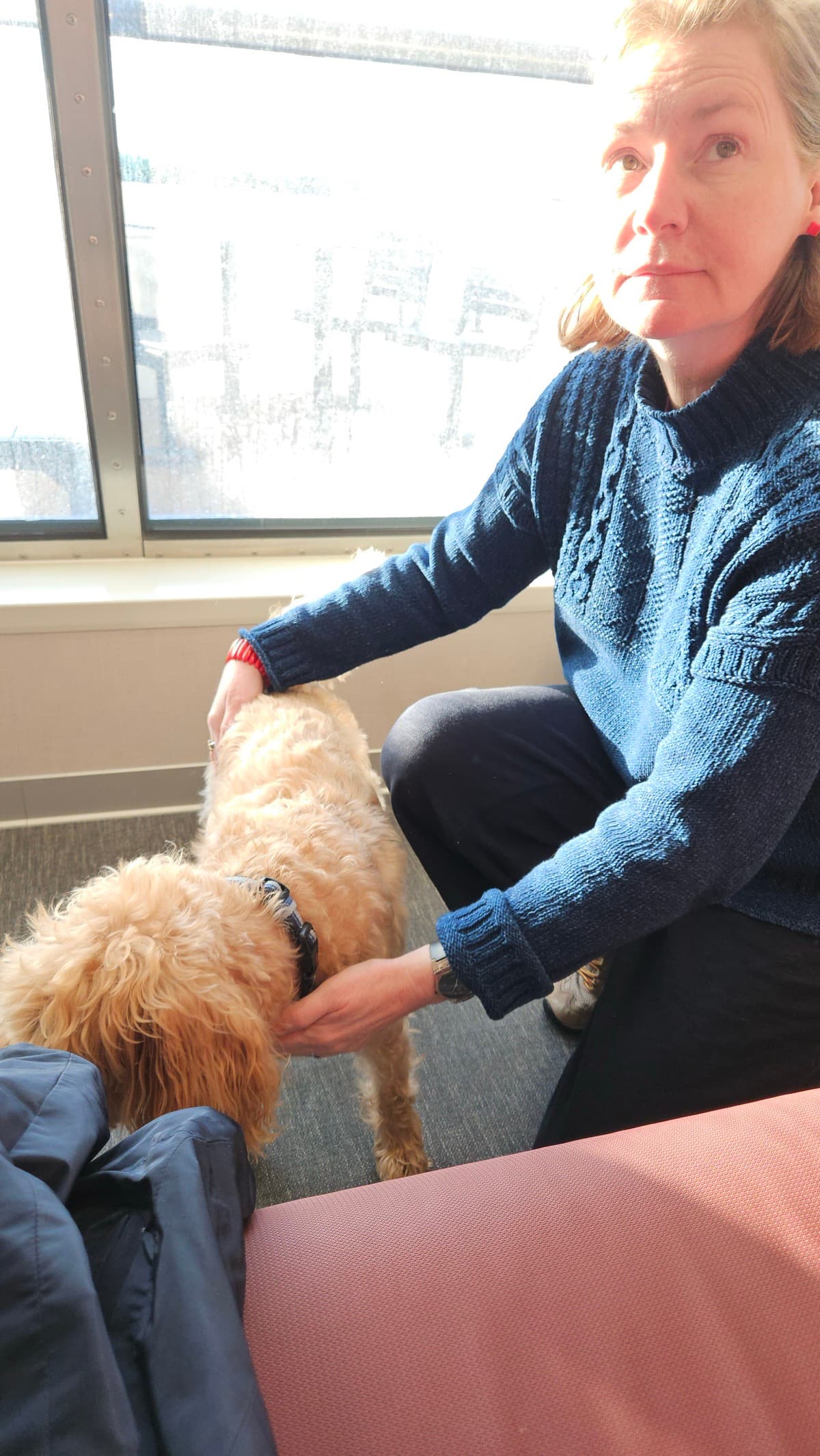 Pips is just wondering if it'll be a good idea to cross the dog lounge and show Sam the deck... the moving deck that is.