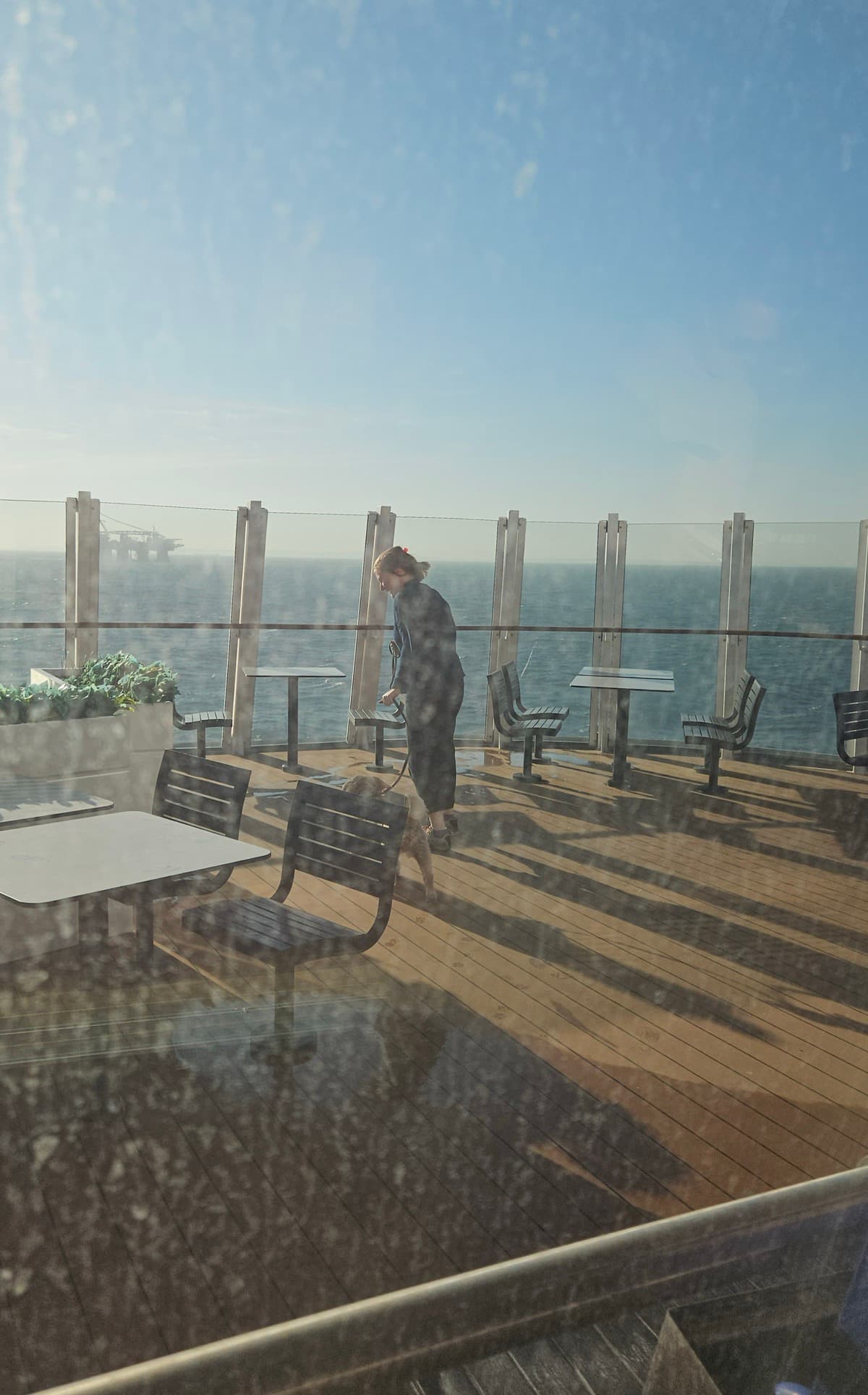 A great crossing, windy but fun.  There were a few other dogs but not too many and they all got on reasonably well.
<p>Being in the dog lounge was great.  It didn't cost that much but as a benefit we got on the ship first, and off first.  We had our own area and our own bit of deck.  In short it worked out fine</p>
<p>I fancied trying out the chunnel but Pips doesn't really like trains, and feels claustrophobic in tunnels.  So, being on a train in a tunnel was always a big ask :-)</p>