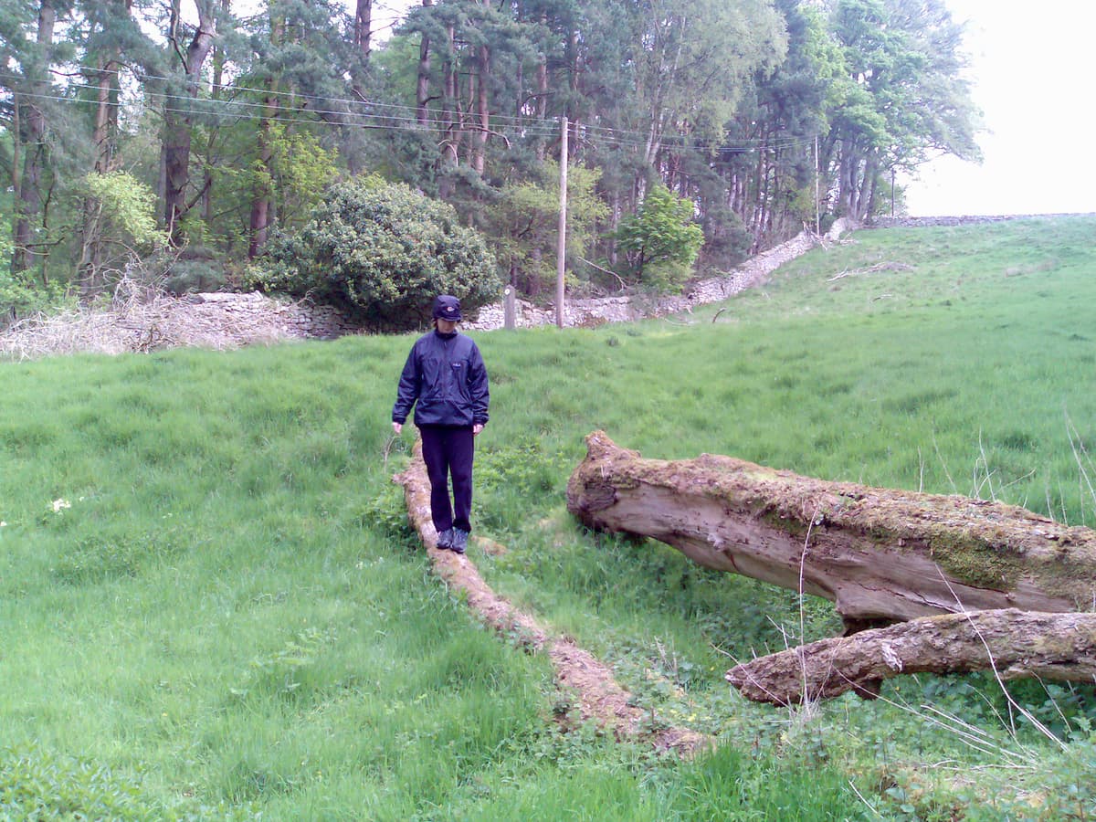 Having braved the dogs Pips thinks nothing of balancing on a log ;-)
