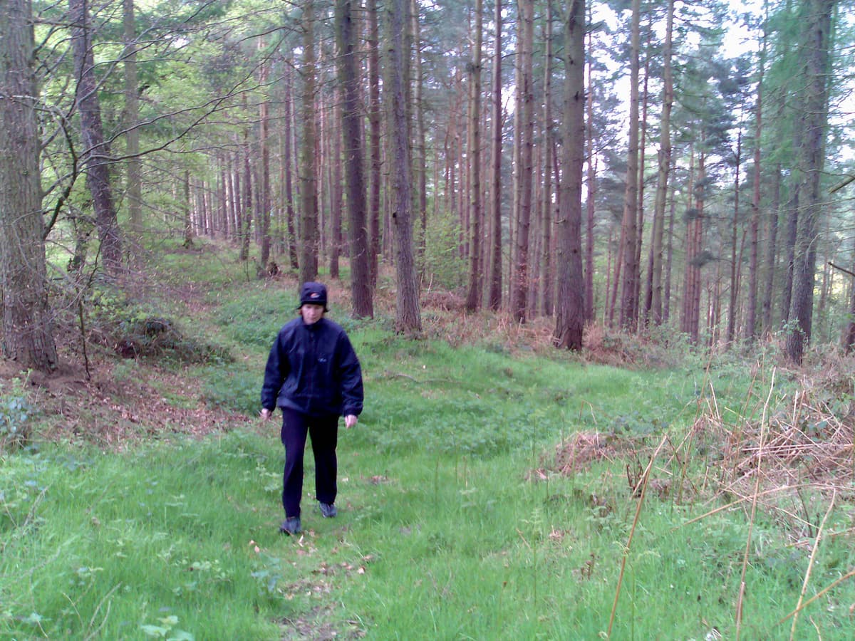 This was a short detour down to a small valley and then back up through the woods.  It was to avoid a large house, which, coincidentally was a kennels.  I'd had enough of dogs.