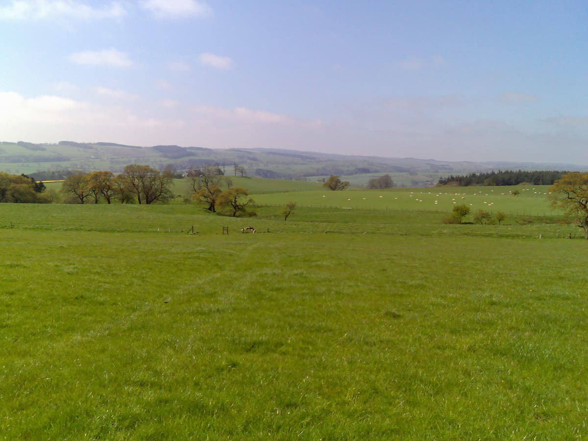 Having aborted at Birtley we head up to the ridge and head back towards the car.  Panoramic views all around.