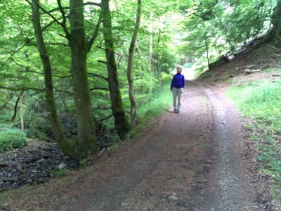 Towards Fenwickfield