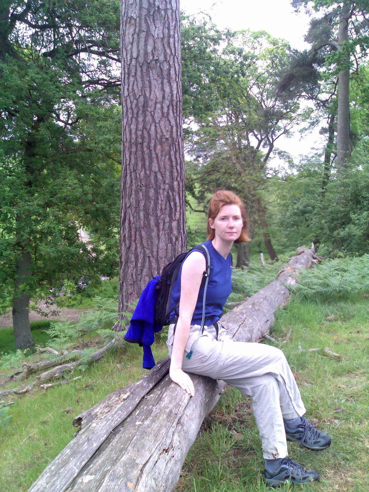 This was a nice spot for lunch, unfortunately Pips seemed to have chosen to sit on woodlouse central.  Didn't spoil our appetite though - ham and lettuce sarnies, with Sainsbury's moroccan houmous, cherry toms and cherries for pud.