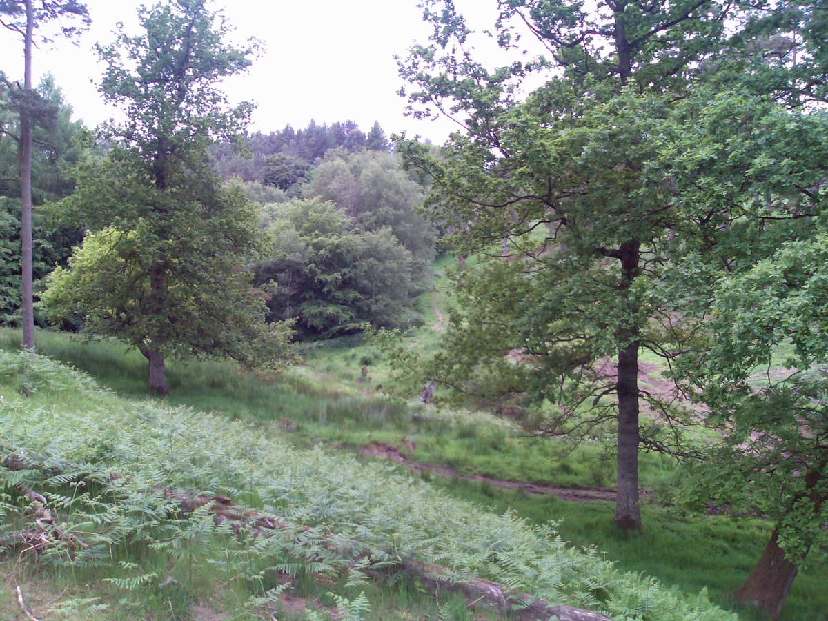 This was the view I had from my bit of the log.