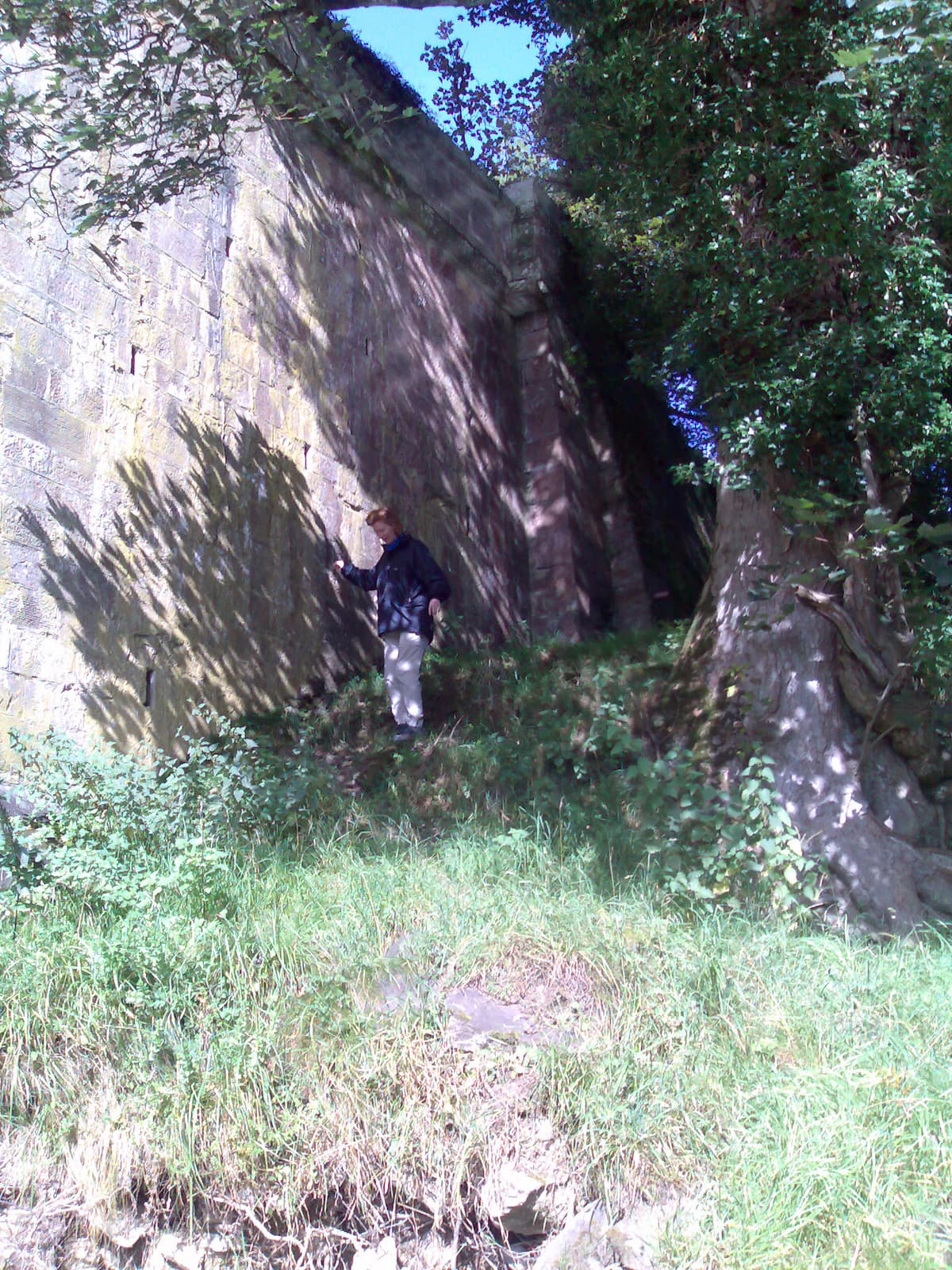 For some reason at the start of the walk Pips was feeling decidedly shakey, it took some time for her to negotiate what she saw as a precipitous descent.  I must say she got better, thank goodness, as we went on.