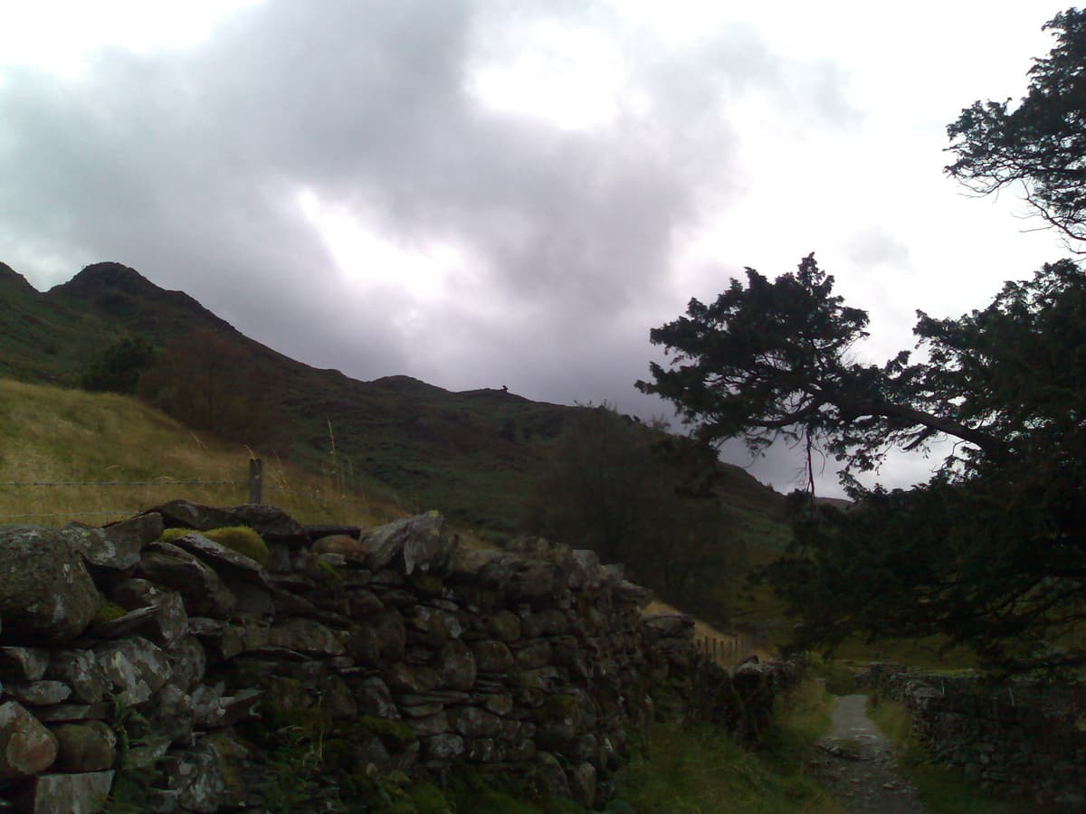The literature about the Lakes is full of useful information, and of course the rocks above Grasmere on Helm Crag are well known: the Lion and the Lamb, the Howitzer.  I've never read though about this feature, clear for all to see, on Betsy Crag.  Yes it's the Rabbit.