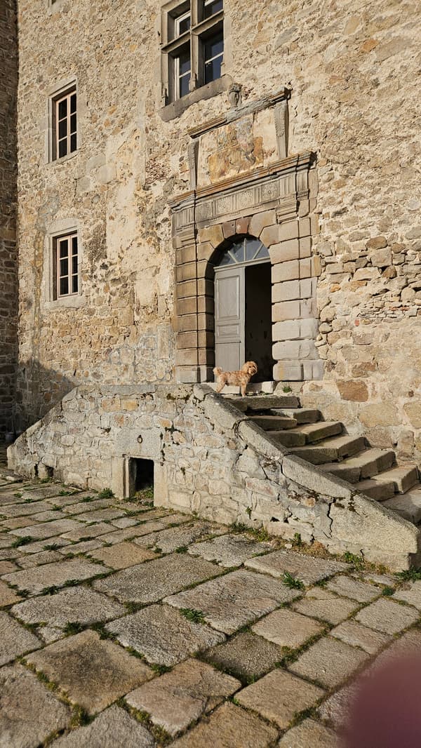 Sam checks out the courtyard and terrace